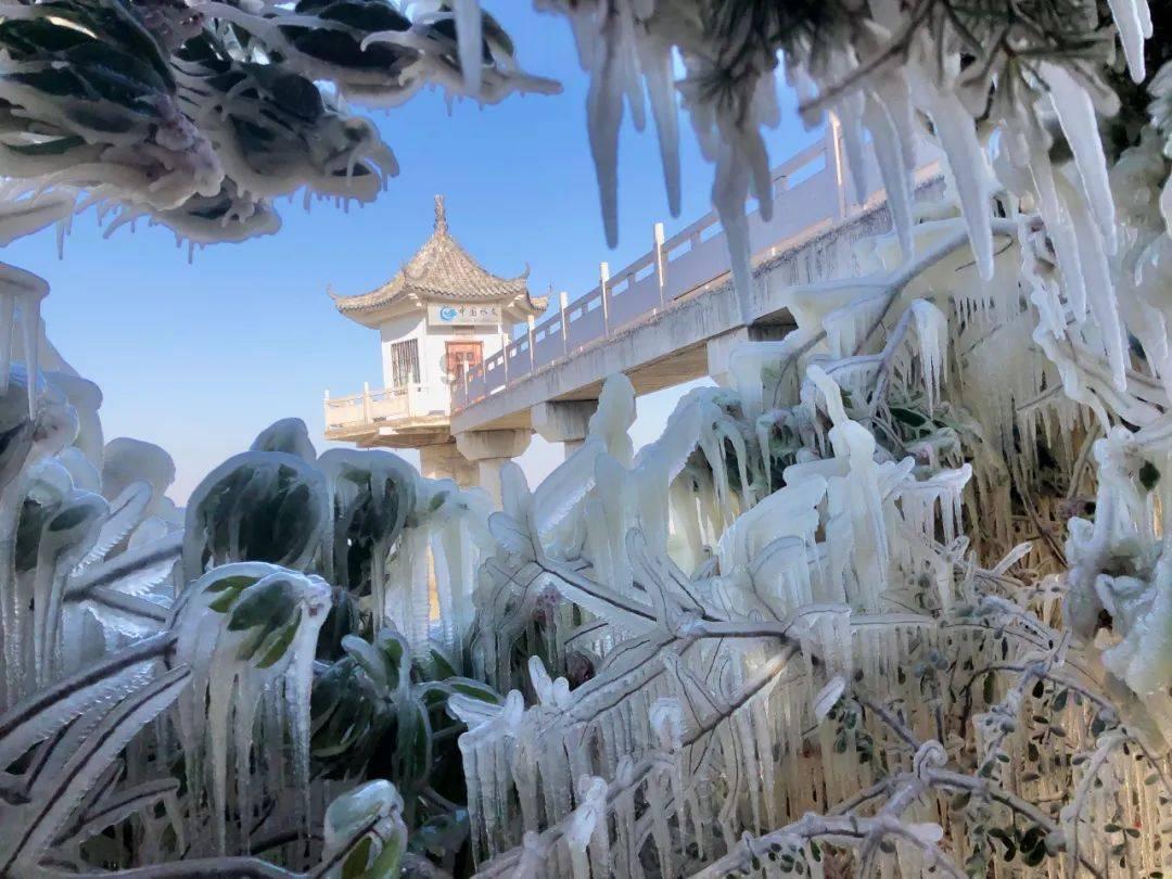 SARIAYU祛痘精华液使用前需要摇匀吗？